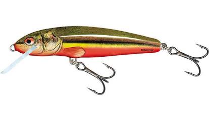 SEÑUELO Salmo  : Minnow 5 Sinking